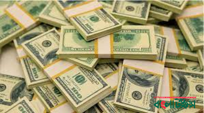 113 crore US Dollar remittance inflow in 19 days of May